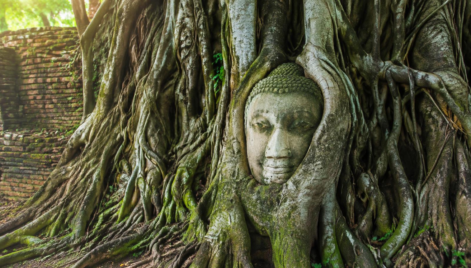 Historic temple ruins in Ayutthaya, Thailand