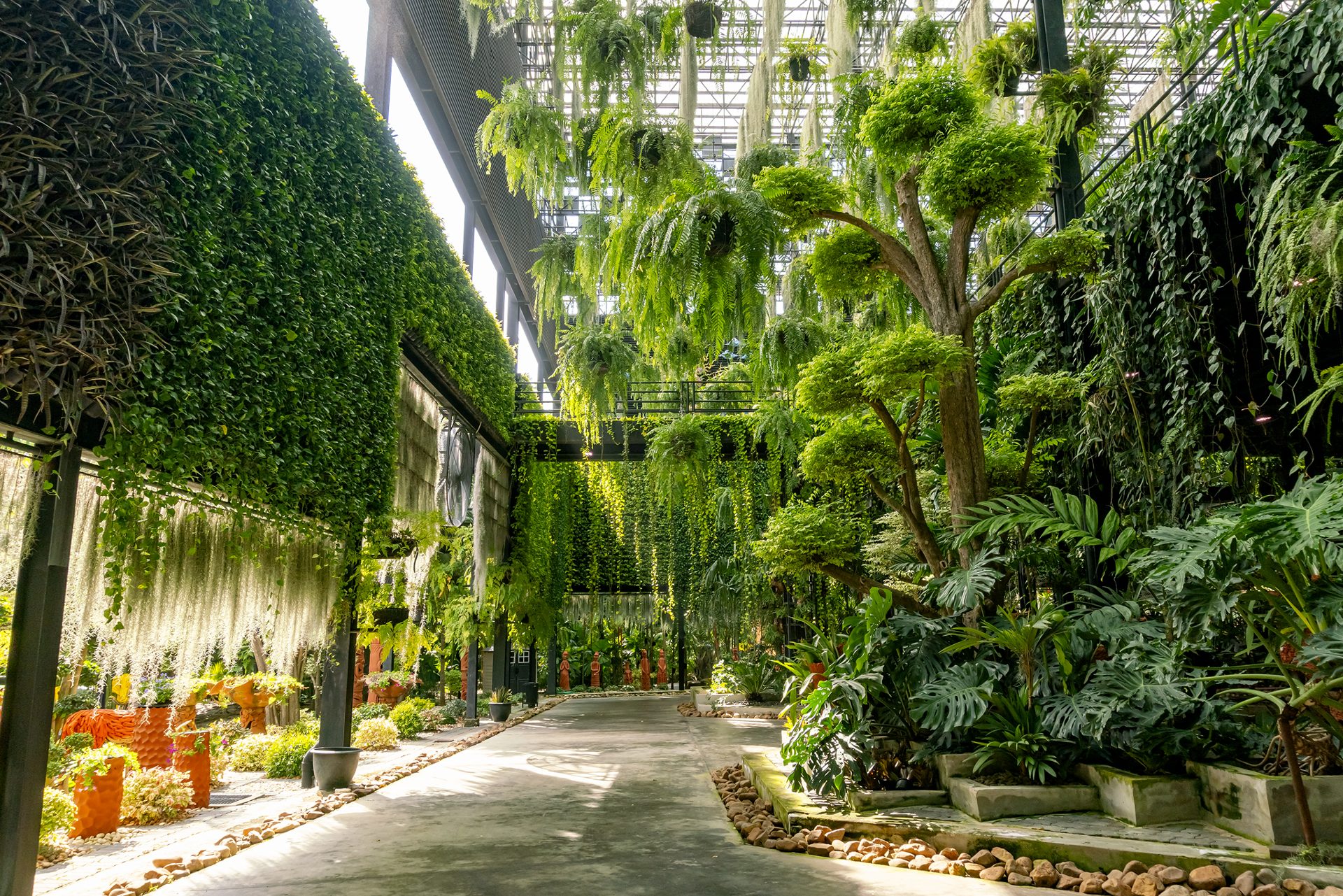 Lush plant collections along a garden path at Nong Nooch