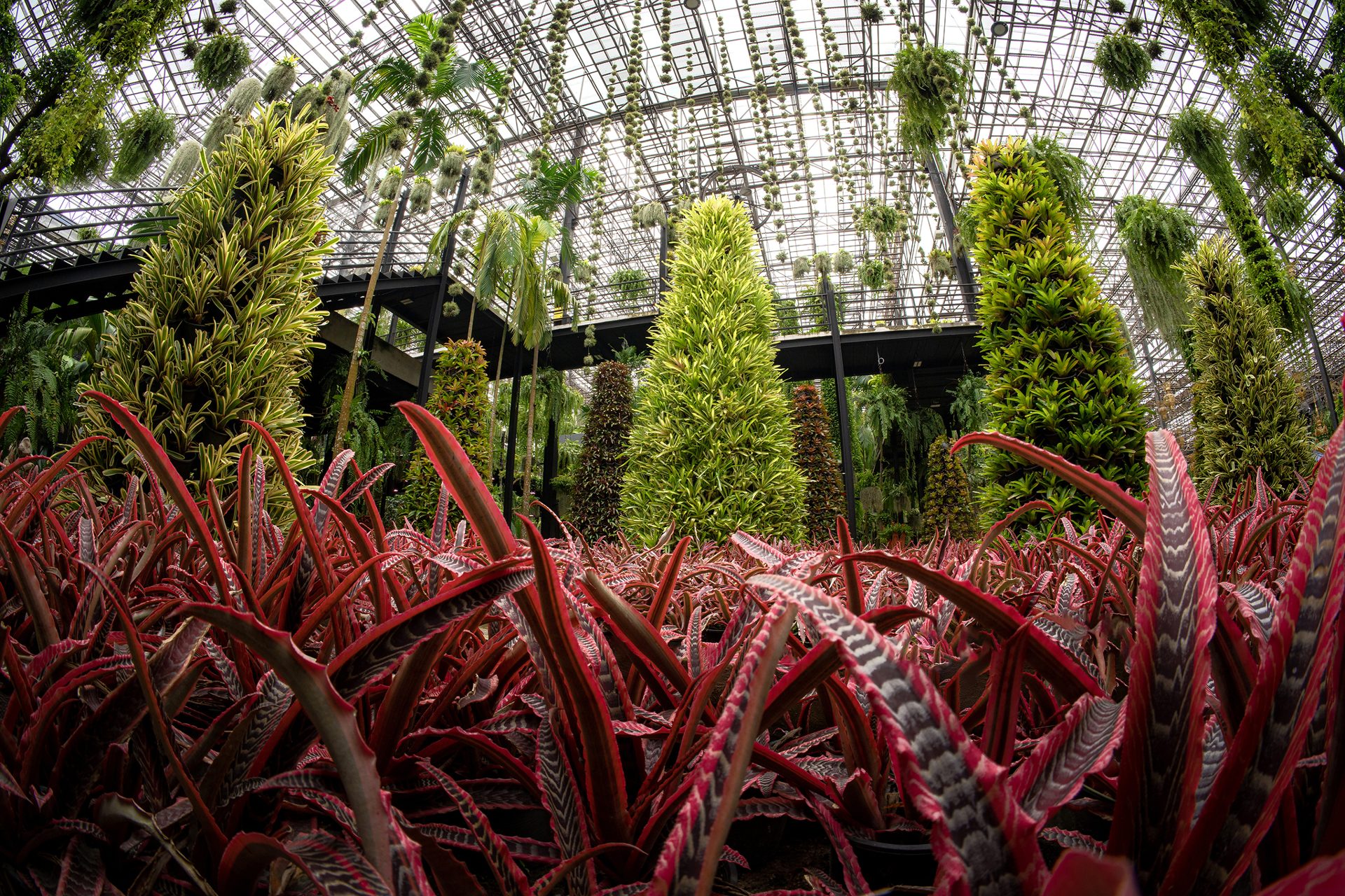 Colourful tropical plant displays at Nong Nooch