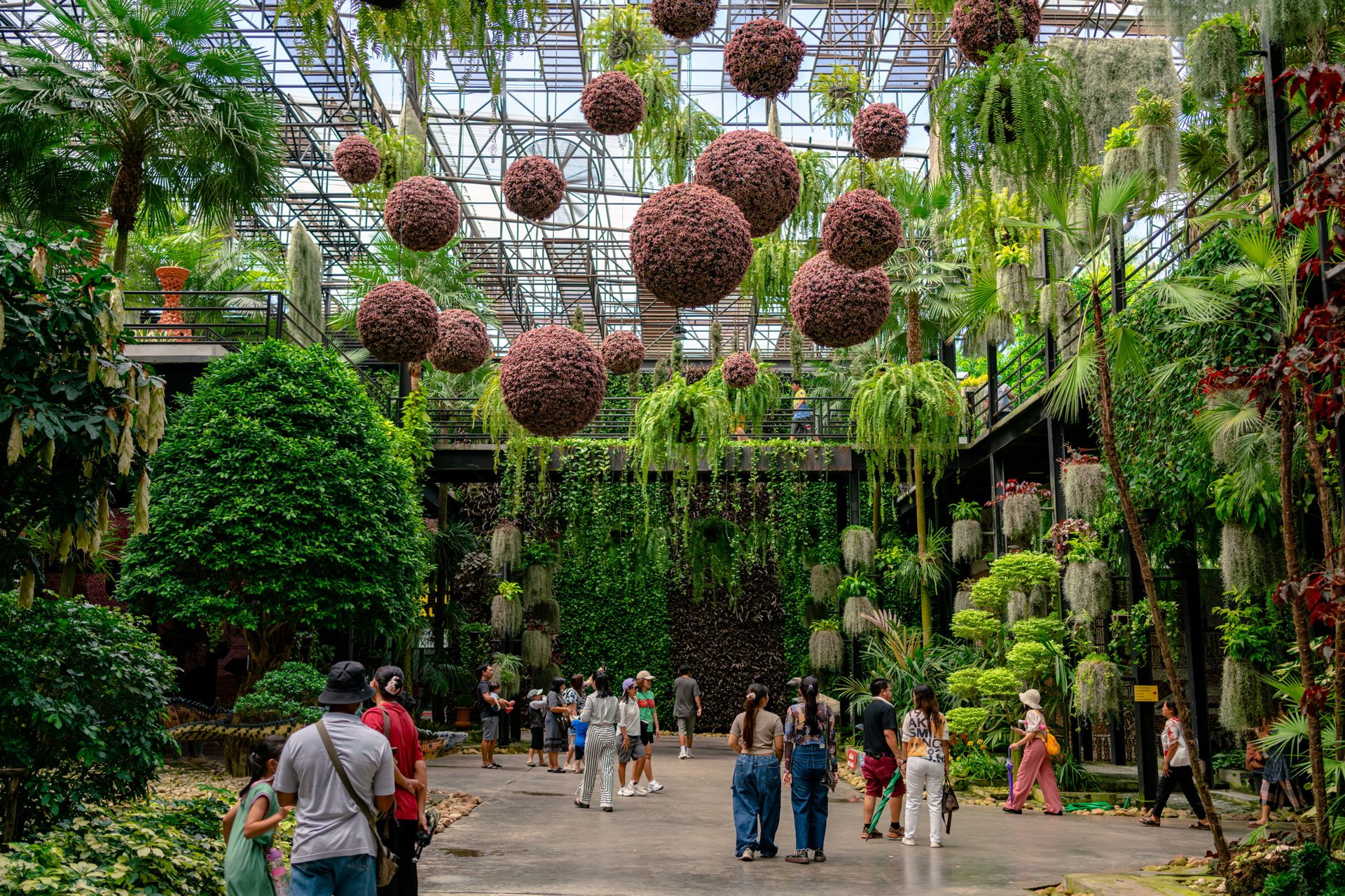 Hanging plant displays in Garden in the Sky at Nong Nooch